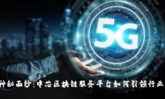 揭开神秘面纱：中芯区块链服务平台如何引领行