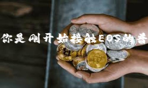 在EOS生态系统中，将代币（token）放入TokenIM钱包的过程相对简单，但需要准确的步骤来确保代币安全。如果你是刚开始接触EOS的普通用户，以下内容将详细介绍这一过程。请注意，这些步骤假设你已经安装了TokenIM钱包，并已创建了EOS账户。

如何将代币放入TokenIM钱包：一个简单的指南