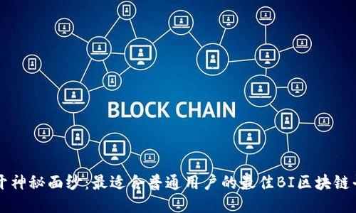 揭开神秘面纱：最适合普通用户的最佳BI区块链平台