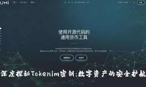 深度探秘Tokenim密钥：数字资产的安全护航
