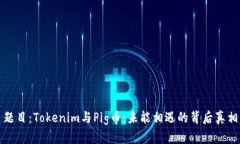 题目：Tokenim与Pig币：未能相遇的背后真相