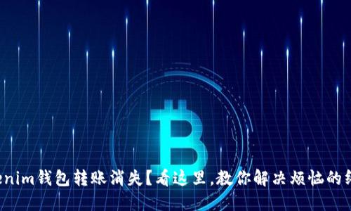 遇到Tokenim钱包转账消失？看这里，教你解决烦恼的终极指南!