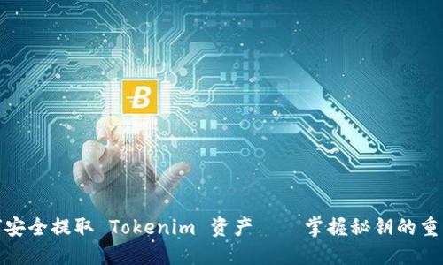 如何安全提取 Tokenim 资产——掌握秘钥的重要性