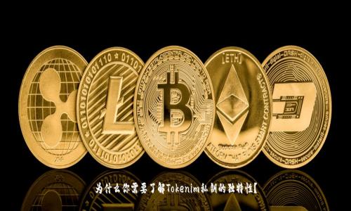 为什么你需要了解Tokenim私钥的独特性？