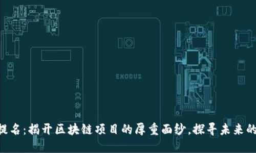 Tokenim提名：揭开区块链项目的厚重面纱，探寻未来的投资机遇