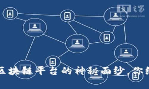 揭开2023年国内正规区块链平台的神秘面纱，你绝对想知道的前沿数据！