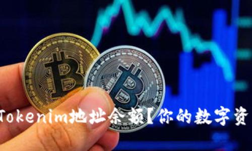 如何轻松查找Tokenim地址余额？你的数字资产将无处遁形！