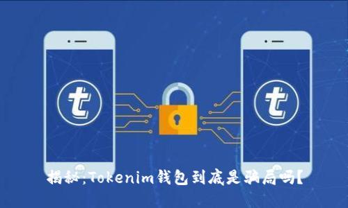 揭秘：Tokenim钱包到底是骗局吗？