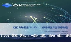 揭秘Tokenim钱包：它真的支持币安链吗？