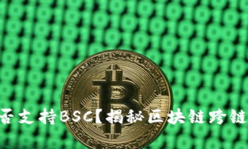 Tokenim是否支持BSC？揭秘区块链跨链互通的奥秘
