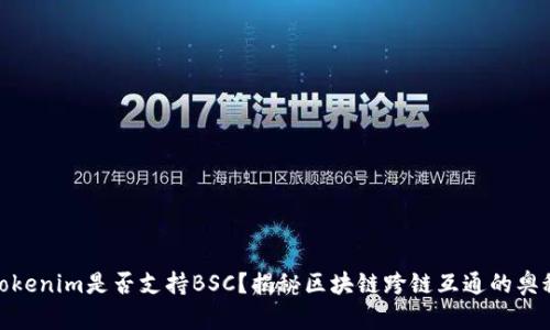 Tokenim是否支持BSC？揭秘区块链跨链互通的奥秘