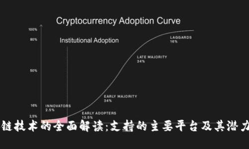 区块链技术的全面解读：支持的主要平台及其潜力探索