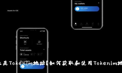 什么是Tokenim地址？如何获取和使用Tokenim地址？