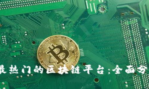 2023年最热门的区块链平台：全面分析与比较