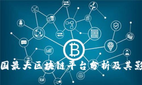 美国最大区块链平台分析及其影响