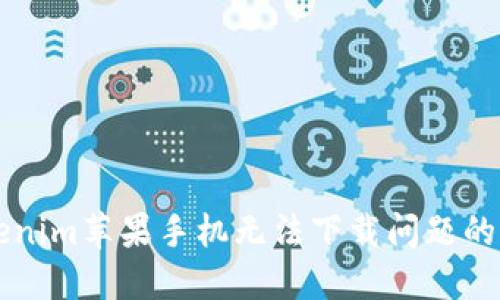 解决Tokenim苹果手机无法下载问题的详细指南