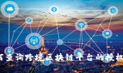 如何查询跨境区块链平台的授权码？