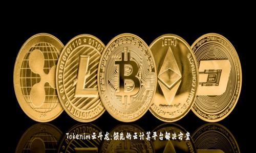 Tokenim云斗龙：领先的云计算平台解决方案