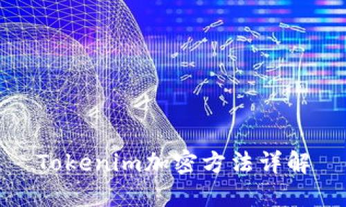 Tokenim加密方法详解