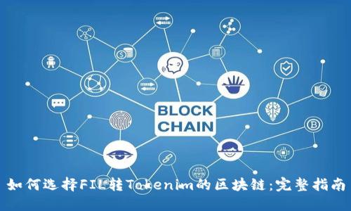 如何选择FIL转Tokenim的区块链：完整指南