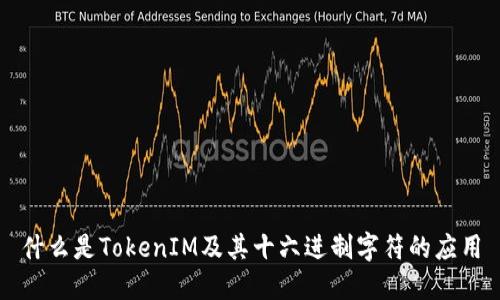 什么是TokenIM及其十六进制字符的应用