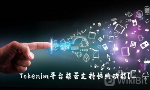 Tokenim平台能否支持快照功能?