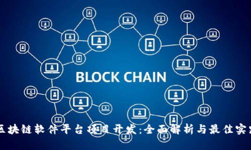 区块链软件平台项目开发：全面解析与最佳实践