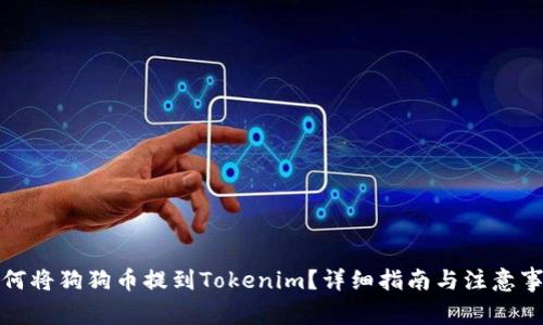 如何将狗狗币提到Tokenim？详细指南与注意事项