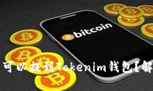 什么币网可以提到Tokenim钱包？解析与推荐