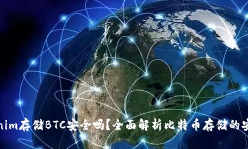 Tokenim存储BTC安全吗？全面解析比特币存储的安全性