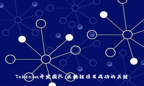 Tokenim开发团队：区块链项目成功的关键