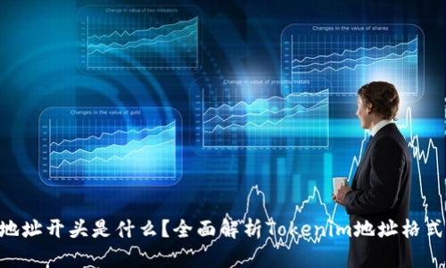 Tokenim地址开头是什么？全面解析Tokenim地址格式与安全性