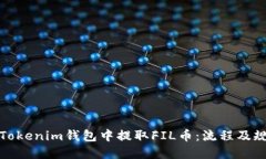 如何在Tokenim钱包中提取FIL币：流程及规则详解