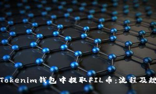 如何在Tokenim钱包中提取FIL币：流程及规则详解