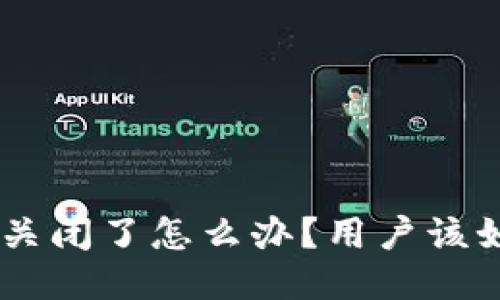 Tokenim关闭了怎么办？用户该如何应对？