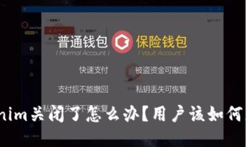 Tokenim关闭了怎么办？用户该如何应对？