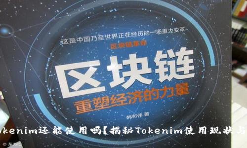 老版本Tokenim还能使用吗？揭秘Tokenim使用现状与未来发展