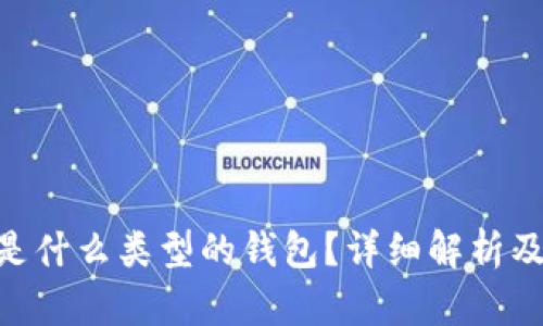 Tokenim是什么类型的钱包？详细解析及使用指南