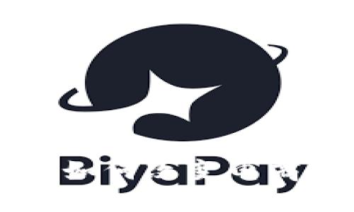 区块链技术如何改变电商平台的未来