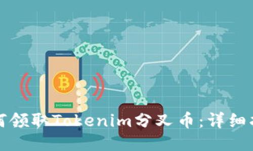 如何领取Tokenim分叉币：详细指南