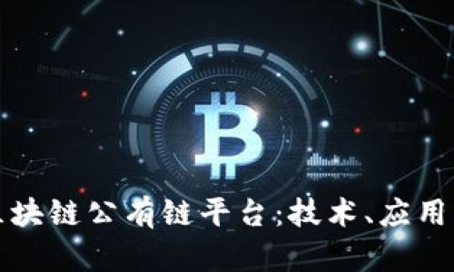 深度解析区块链公有链平台：技术、应用与未来发展