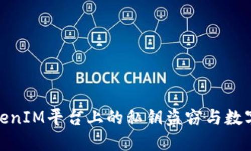 : 如何防范TokenIM平台上的私钥盗窃与数字货币安全问题