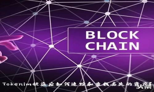 Tokenim被盗后如何追踪和查找丢失的资产？