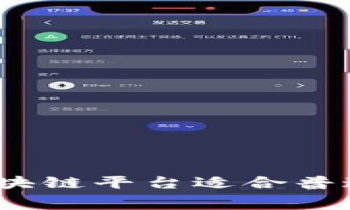 哪种免费区块链平台适合普通用户使用？