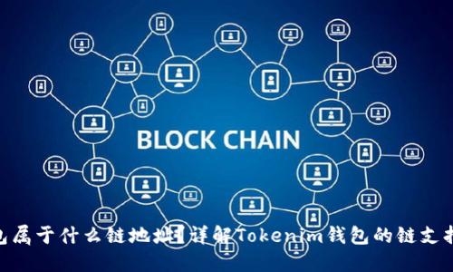 Tokenim钱包属于什么链地址？详解Tokenim钱包的链支持及使用指南