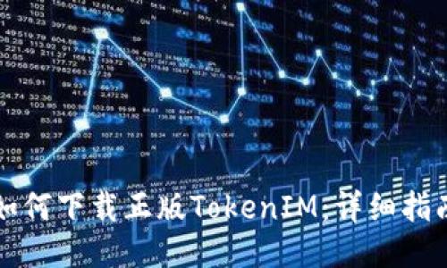 如何下载正版TokenIM：详细指南