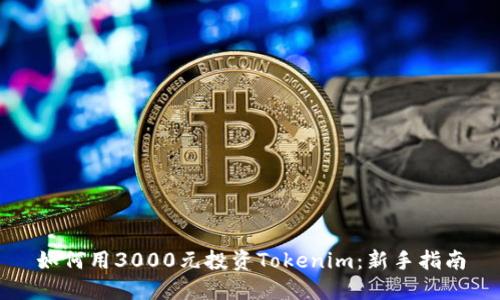 如何用3000元投资Tokenim：新手指南