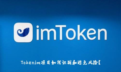 Tokenim项目如何识别和避免风险？