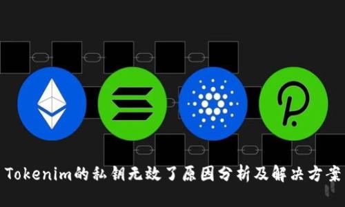 Tokenim的私钥无效了原因分析及解决方案
