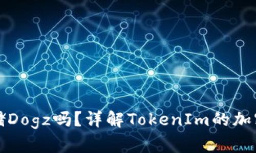 TokenIm能存储Dogz吗？详解TokenIm的加密货币存储能力